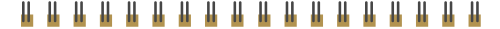 202416.jpg