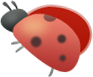 2024116.jpg