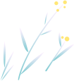 9d4c96fe0e9acc4ce334f1d0bbd11fd0.jpg